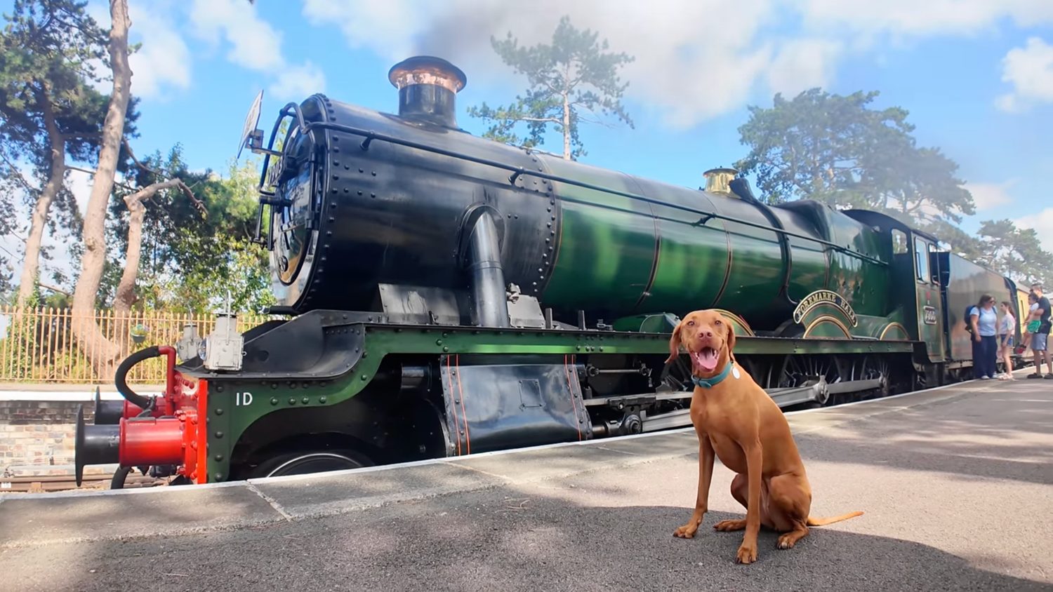 Kiwi enjoying a day out beside a heritage steam train